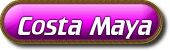 Costa Maya Dolphin Tours